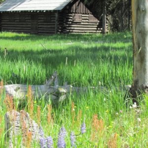 Media 'Old log building near marina' in album 'My Lee, In Cahoots, Far West II at Bridge Bay Marina, Yellowstone Lake'
