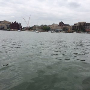 Media 'Memorial Union-Lake Mendota' in album 'July 2016-Madison , WI'