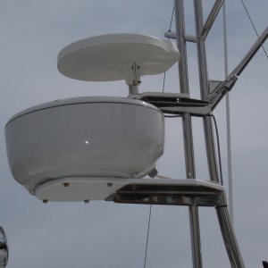 Media 'Shakespeare SeaWatch 2025 with amplifier' in album 'Little Toot arriving home'