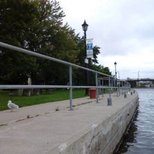 Old Mill Park