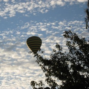 Having coffee on the deck at dawn, visitor overhead Sedona Az
