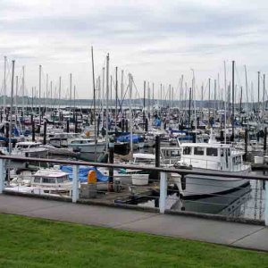Marina Close_up including 'Two Lucky Fish'