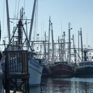 The Loster house's Cape May fishing fleet