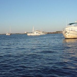 The Cape May Anchorage