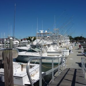 A row of sportfishers