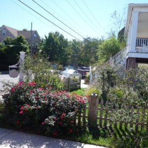 The town of Cape May features a wealth of pretty gardens and exam[ples of Victorian Architecture