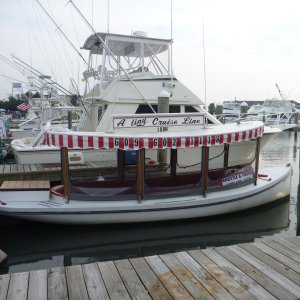 Cute Little Tour Boat