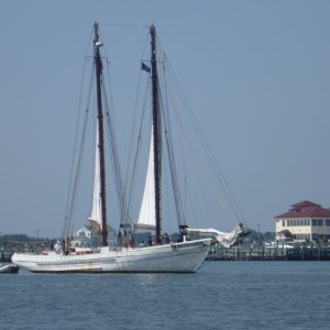 P1000770