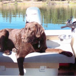 Media 'Pete fishing' in album 'just brought her home!'