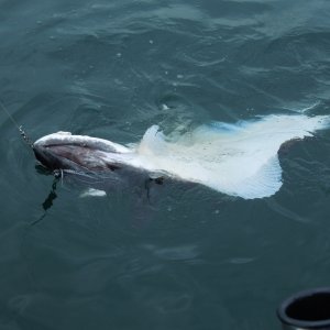 DSCN1129