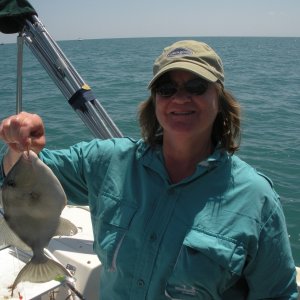 Triggerfish.  Very tasty.