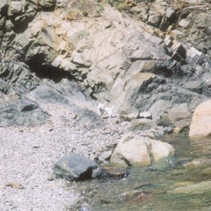 002_2.JPG