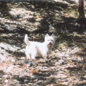 007_7.JPG