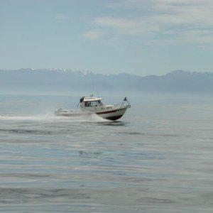 DSCN0304.JPG
