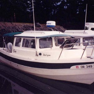 Halcyon At Rest.jpg