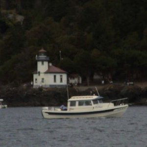 Scouting Orcas.JPG
