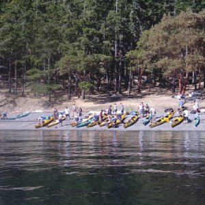 sj54.jpg
