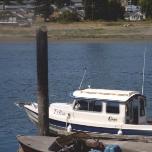 sj67.jpg