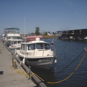 sj72.jpg
