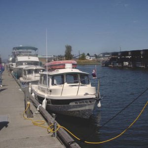 sj73.jpg