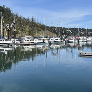 CDorys on the H dock at Friday Harbor