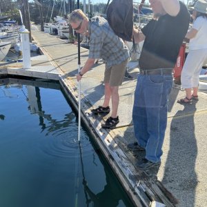 Fishing for the phone