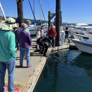 Diver finds Dan\'s Phone