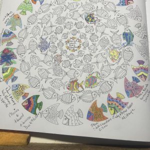 The Coloring Book