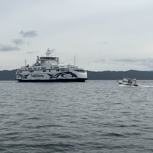 Media 'Sleepy C and BC Ferry' in album 'Cap Sante Marina'