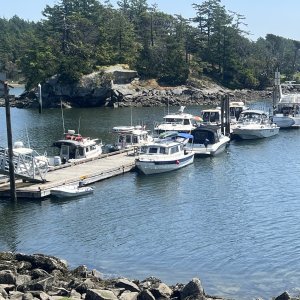 Dock at Fossil Bay