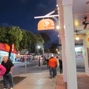 Media 'Duval Street at night' in album 'Parrot at fishing charter office'