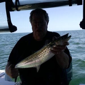 Media 'Another Spanish Mackeral' in album 'Parrot at fishing charter office'