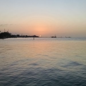 Media 'Out on the tip of the beach at the Black Fin almost every night for the sunset' in album 'Parrot at fishing charter office'