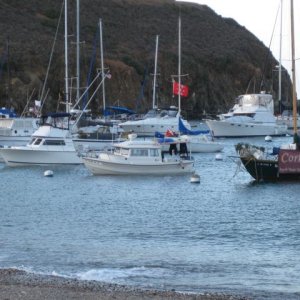 Isthmus Cove