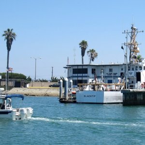 Media 'On patrol with new twin 50 Suzukis in white' in album 'Sealife 4 (Angler model)'