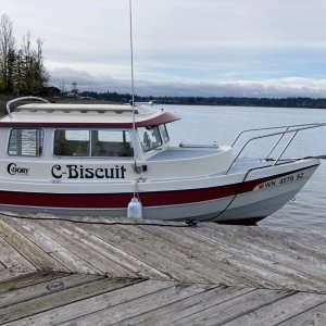 c-biscuit