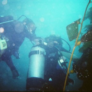 01740012