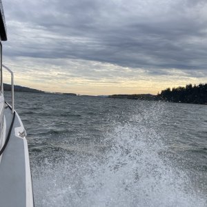 Zooming along under autopilot