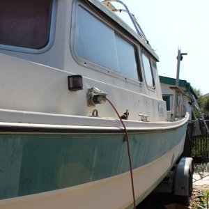 IMG 0496