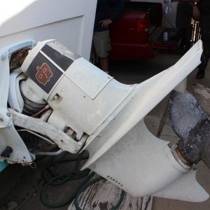IMG 0499