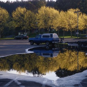 Fall color, twice, in the John Wayne parking lot.