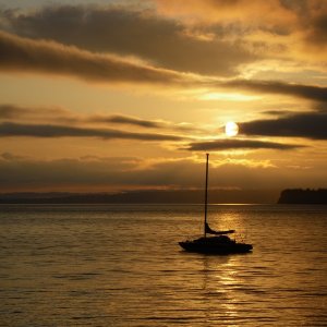 January 2010 202