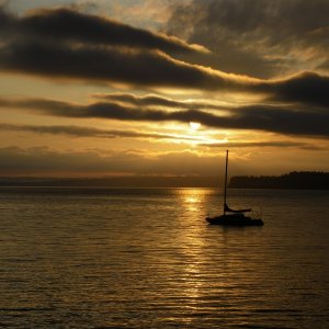 January 2010 207