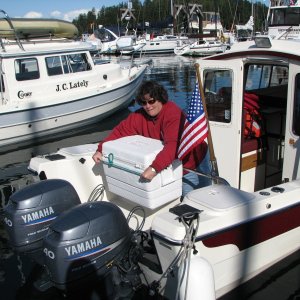 A bungie cord over the cooler holds the towel under it to add inslulation when the sun is shining on the cooler.  The contents temp is monitored on the weather station board with the remote sensor for Outdoor temps.  Friday Harbor 2009.