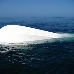 Media 'Grady white using it's "positive" flotation' in album 'CR navionics'