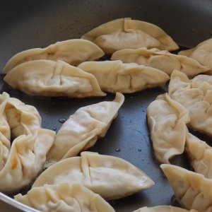 Frying up the pot stickers
