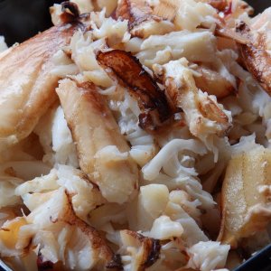 Pile O Crab