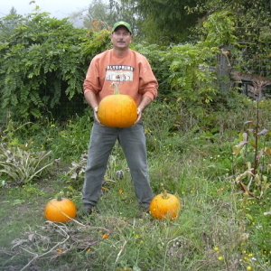 Cynthia\'s garden