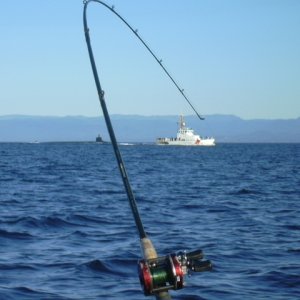 Coast Guard and Sub