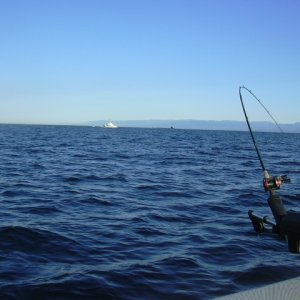 Coast Guard and Sub